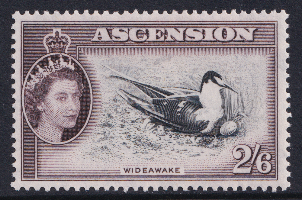 Ascension Island QEII 1956 2s6d Black Deep Dull Purple Bird SG67 Mint MH