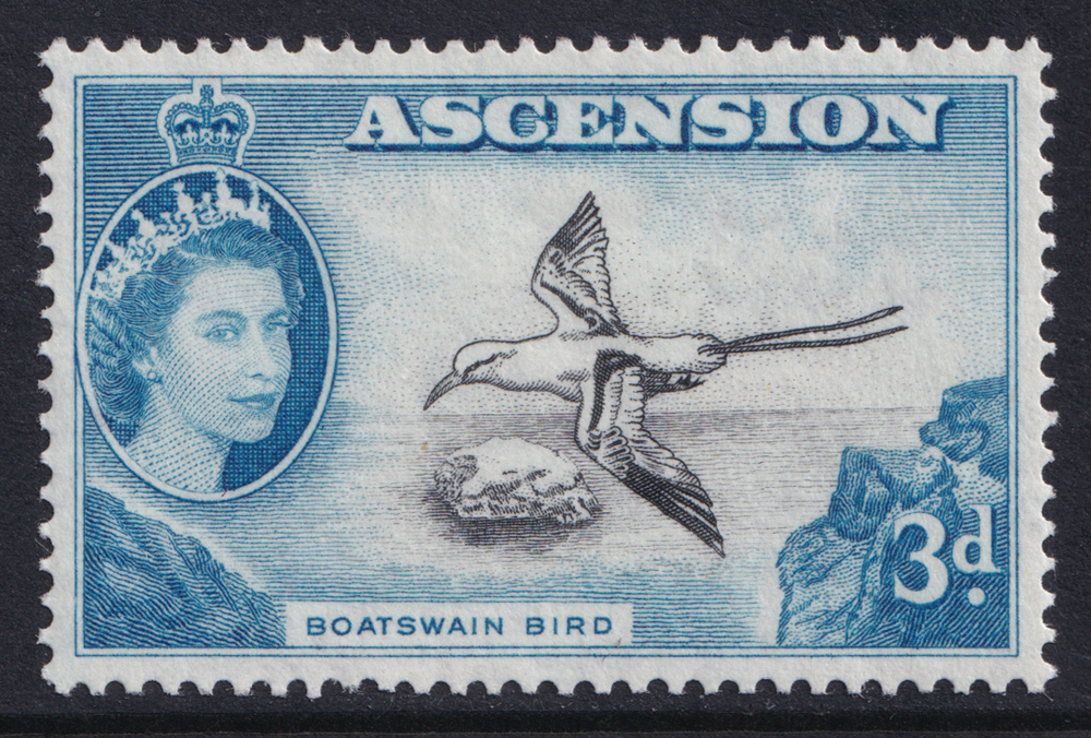 Ascension Island QEII 1956 3d Black Blue Bird SG62 Mint MH
