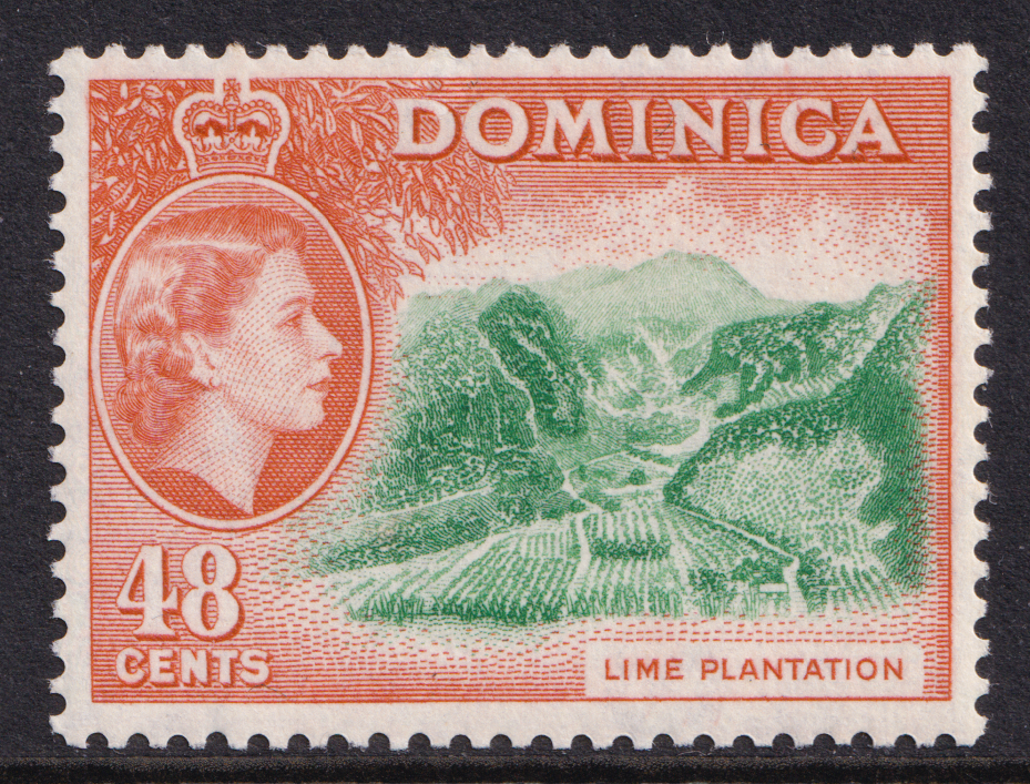 Dominica QEII 1954-62 48c Green Red-Orange Lime plantation SG154 Mint MNH